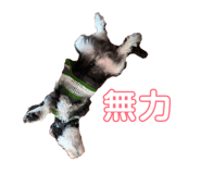 842961517
