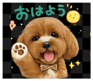 842961843