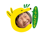 842962087