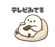 842962247