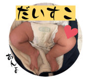 842962334