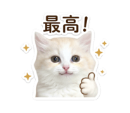 842962433