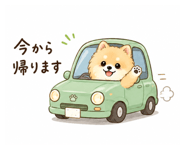 842962635