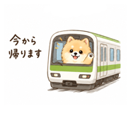 842962636