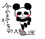 842962857