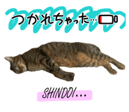 842963108