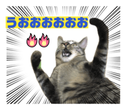 842963111