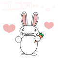 842963116