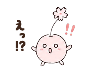 842963193