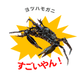 842963338
