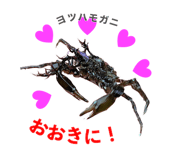 842963339