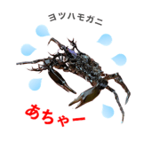 842963340