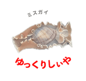 842963341