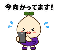 842963393