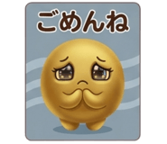 842964243
