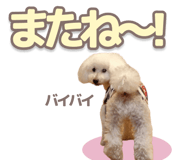 842964309