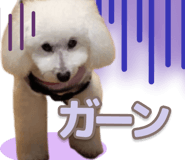 842964328