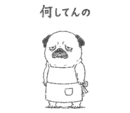 842964403