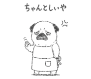 842964404