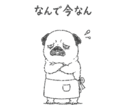 842964405