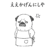 842964417