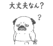 842964421