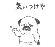 842964422