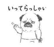 842964423
