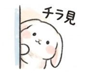 842964520