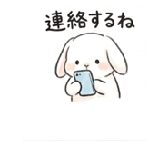842964533