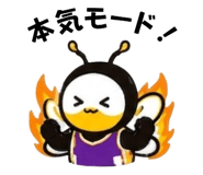 842964775