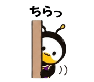 842964779