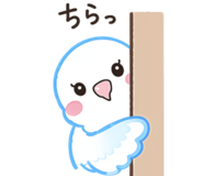 842964847
