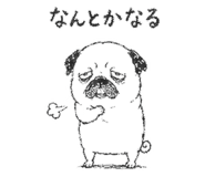 842964849