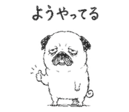 842964857