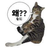 842965186