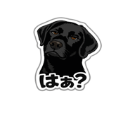 842965195