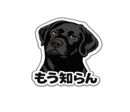 842965199