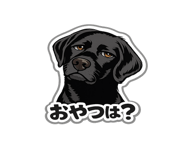 842965206