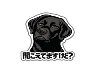 842965208