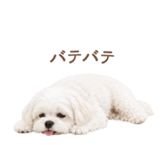 842965252