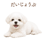 842965260