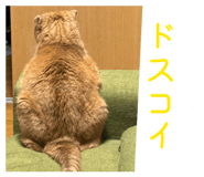 842965457