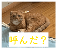 842965461