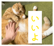 842965462