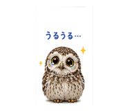 842965807