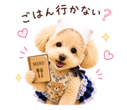 842965970
