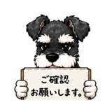 842966116