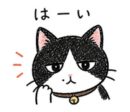 842966281