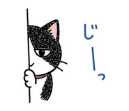 842966296